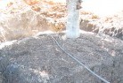 Sandspringstree-transplanting-4.jpg; ?>